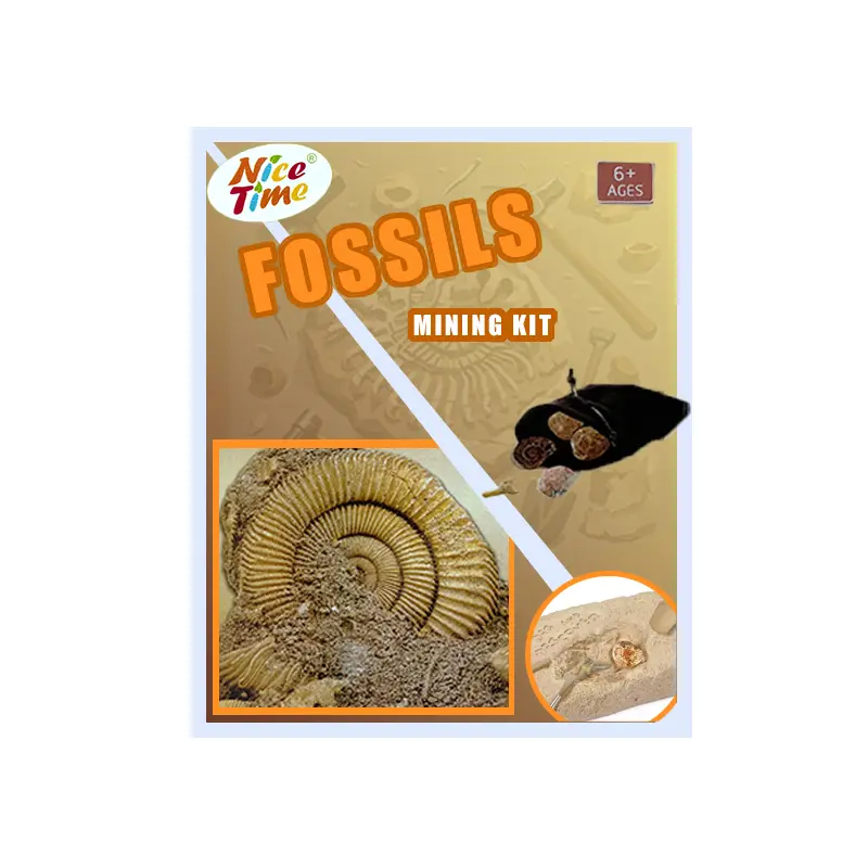 FOSSILS MINING KIT